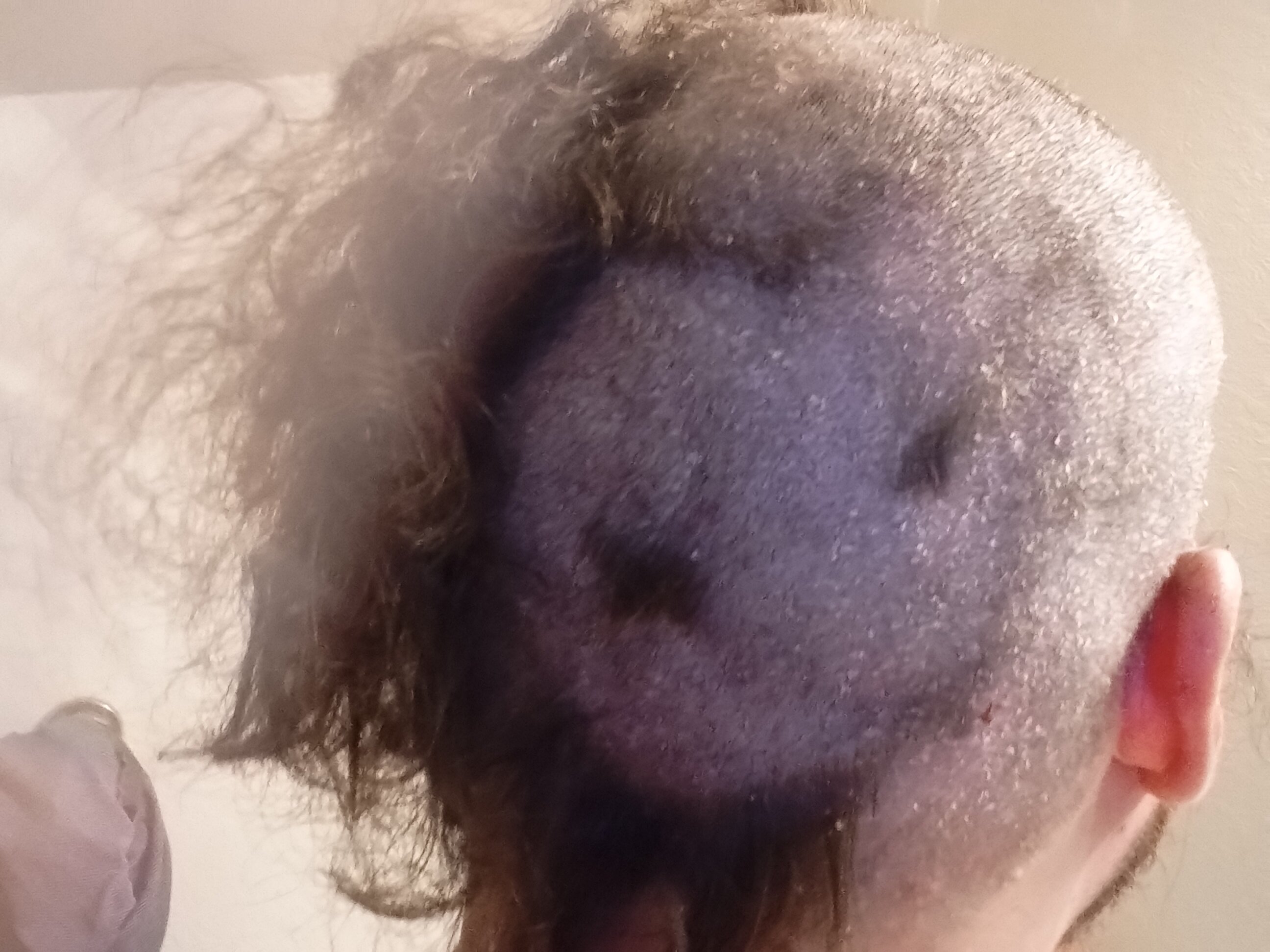 IMG 20260310 163808446