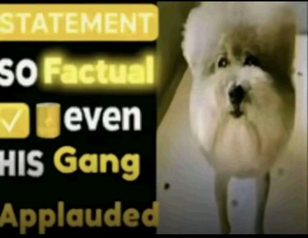 Screenshot 20260222 162400 TikTok