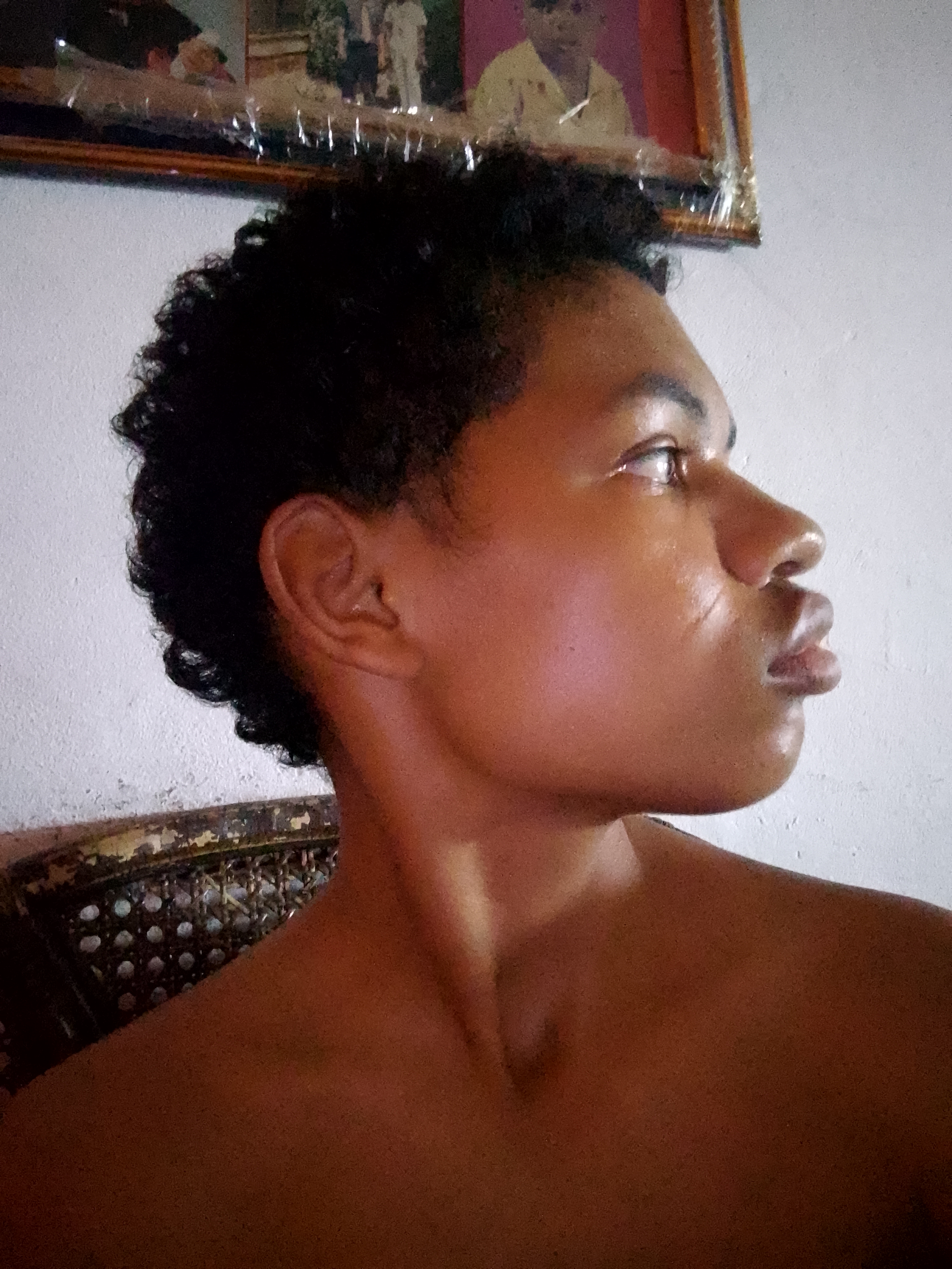 17732383728516045565360634207603