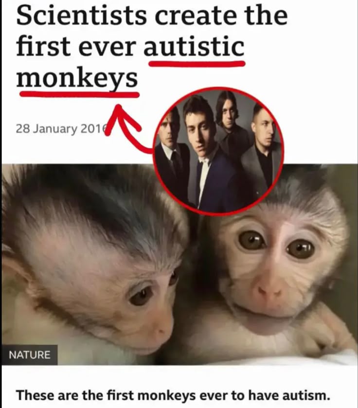 E18788aa7f3b96f79e5d57b309343f4a