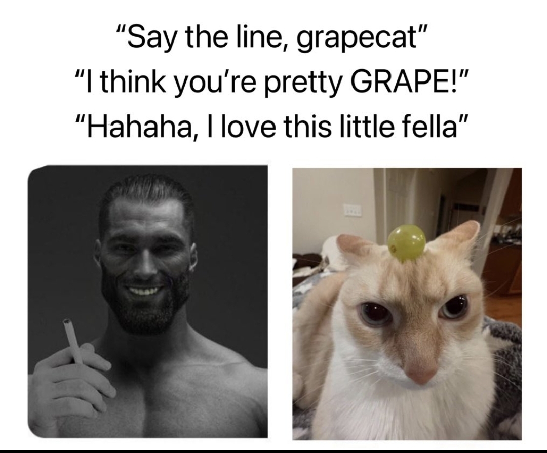 Screenshot 20260308 115647 X