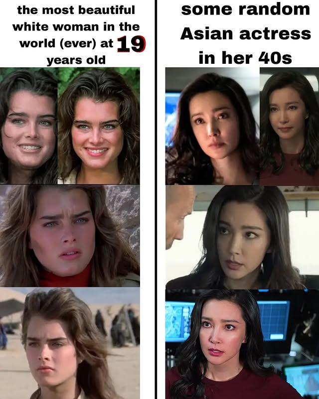 456363658 964541222024959 3618242976527299536 n