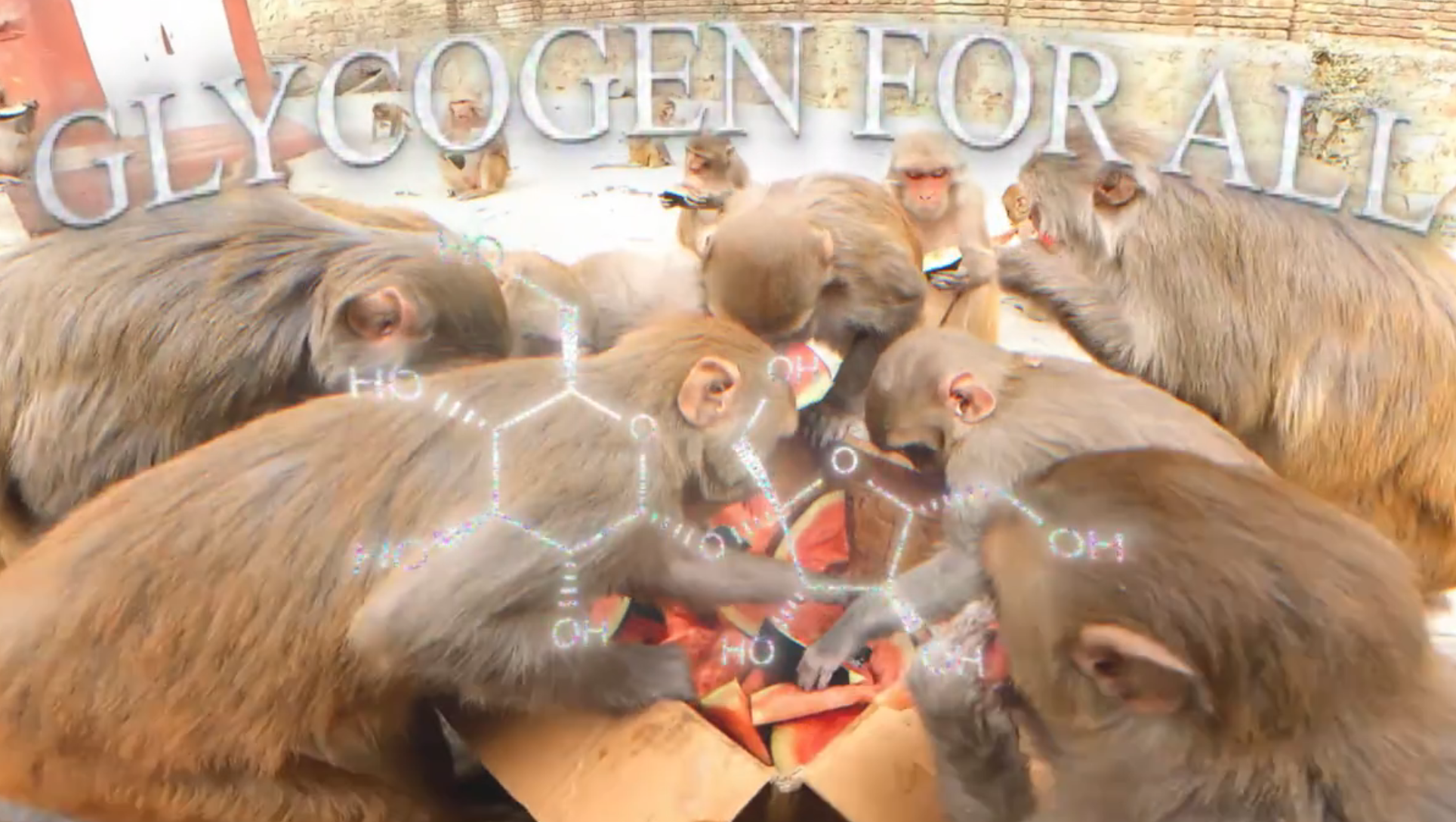 Screenshot 2026 03 12 154402