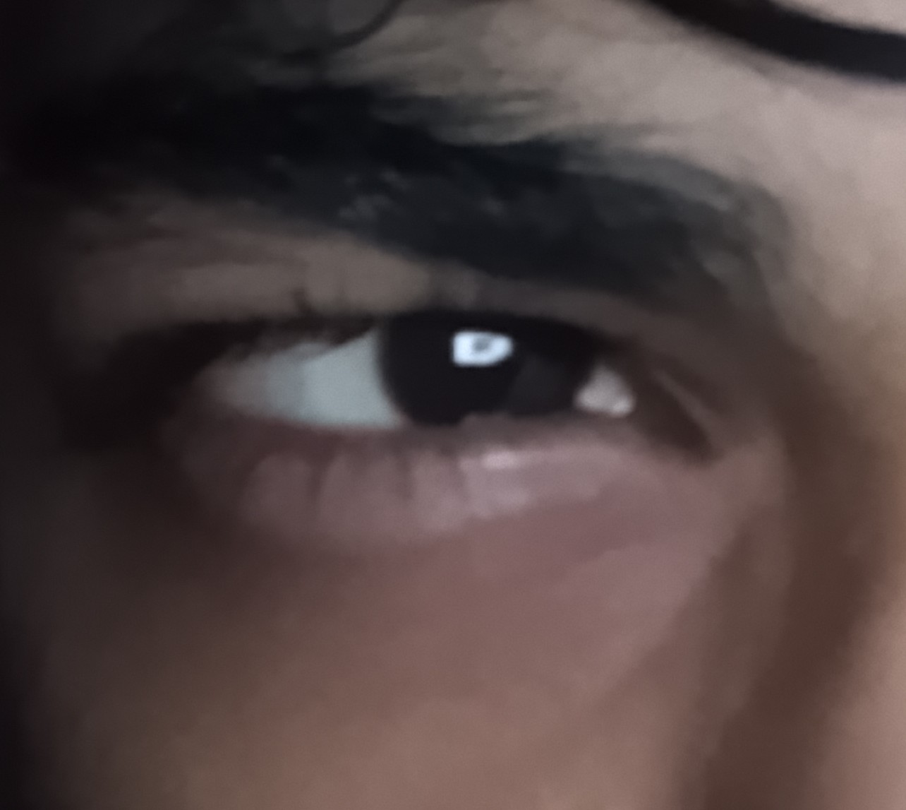 IMG 20260226 034539 7162