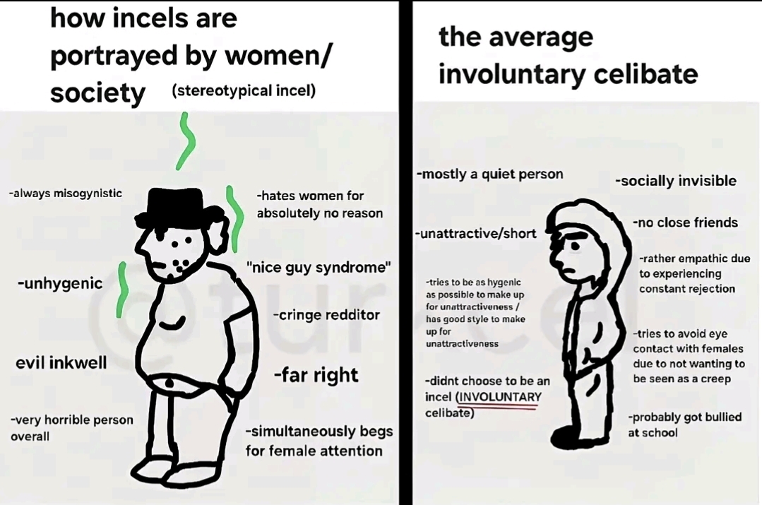 Screenshot 20260313 141555 TikTok