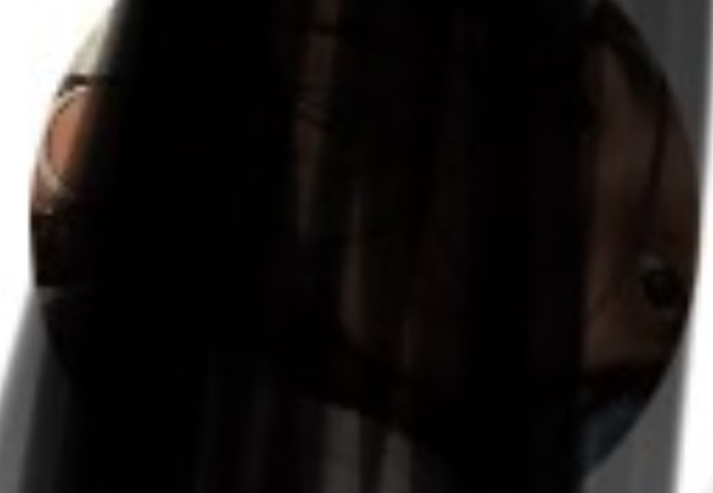 Screenshot 20260313 170456 Chrome