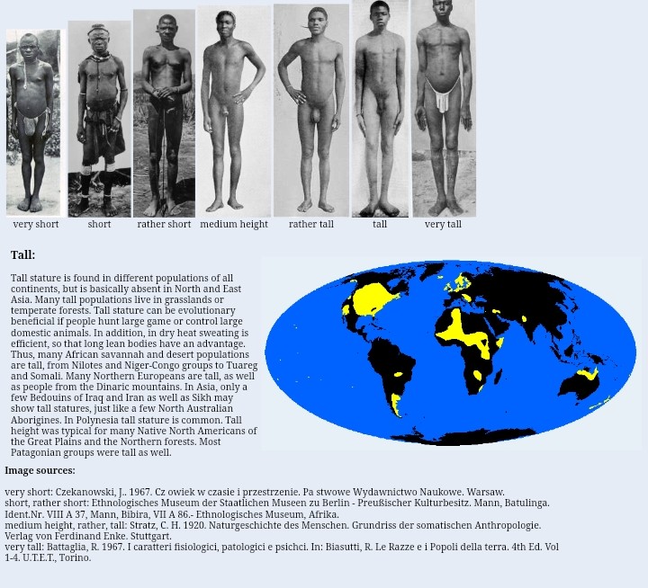 Screenshot 20260215 112654