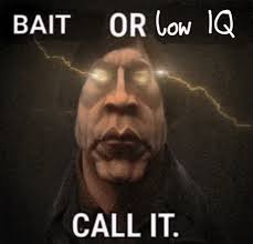 This Is Bait GIFs - Find & Share on GIPHY