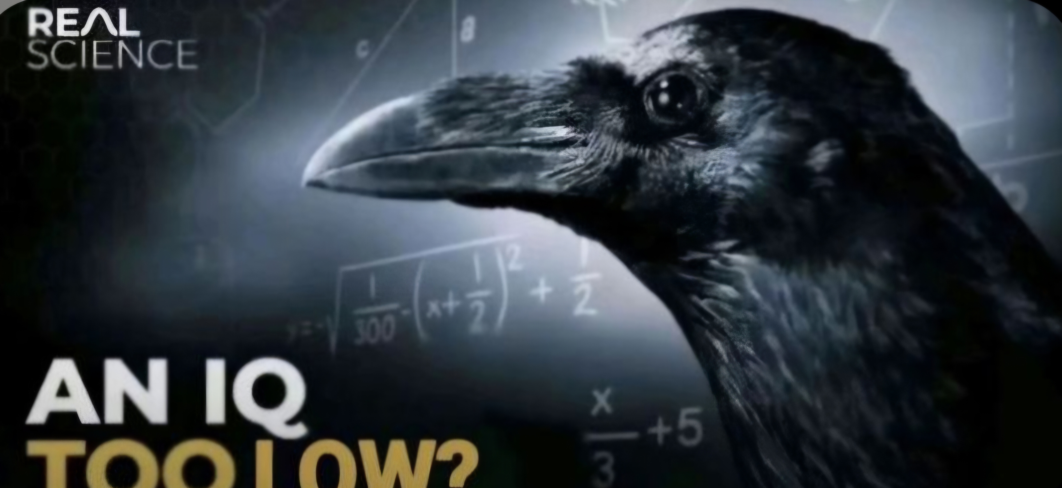 Screenshot 20260314 211703 Pinterest