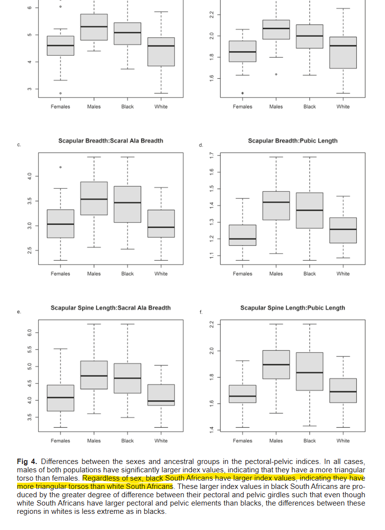 South African triangular torso