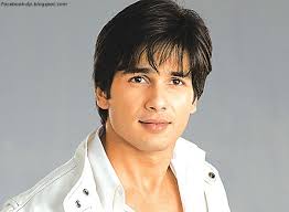 indian actor shahid kapoor wallpapers ...