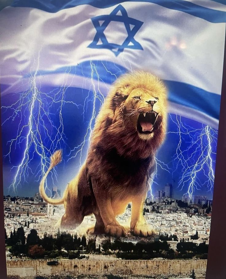 Download   2026 03 15T140916988