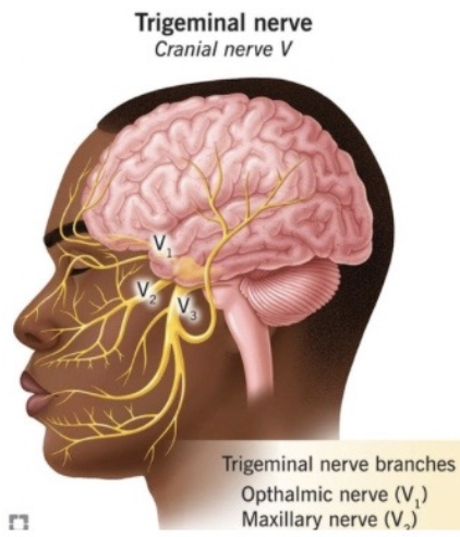 Screenshot 2026 03 15 at 94711PM