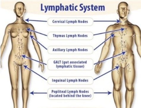 Screenshot 2026 03 15 at 94644PM