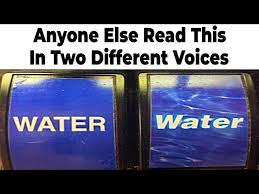 1773695181338