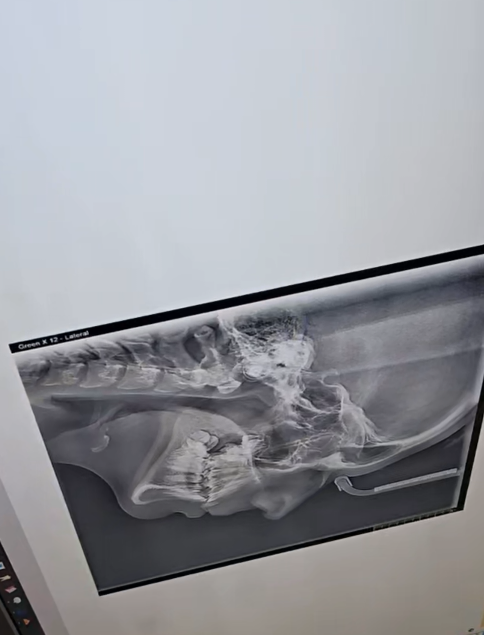 Screenshot 20251103 153902 Messages