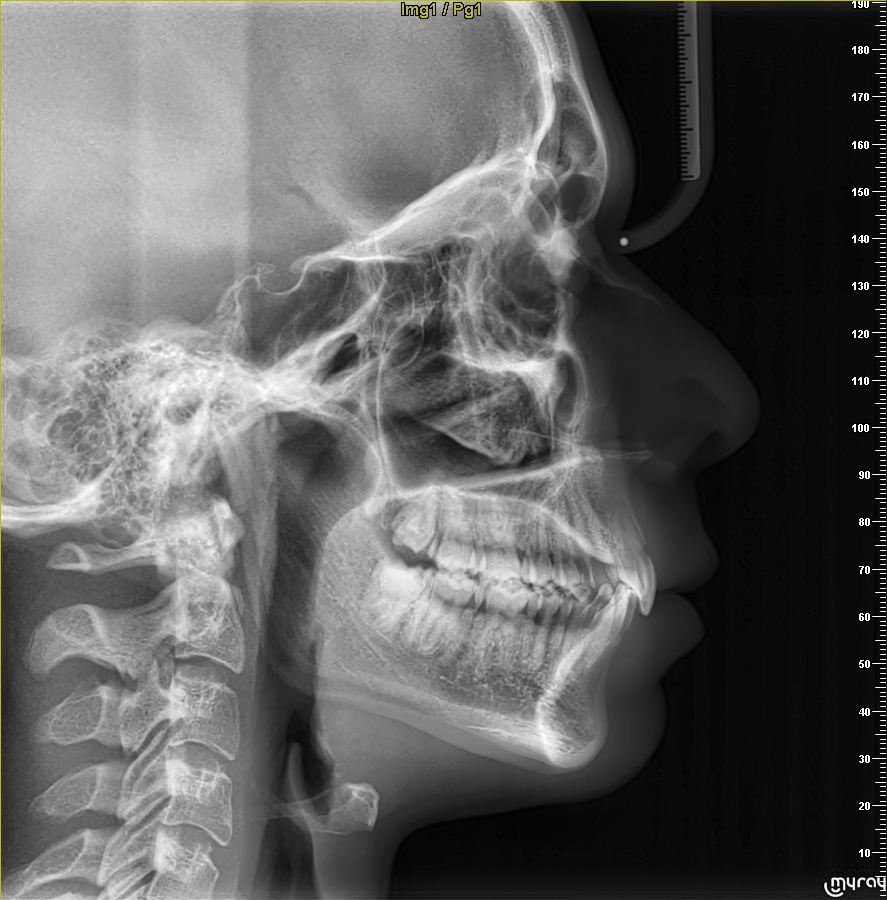 WhatsApp Image 2026 03 13 at 020130