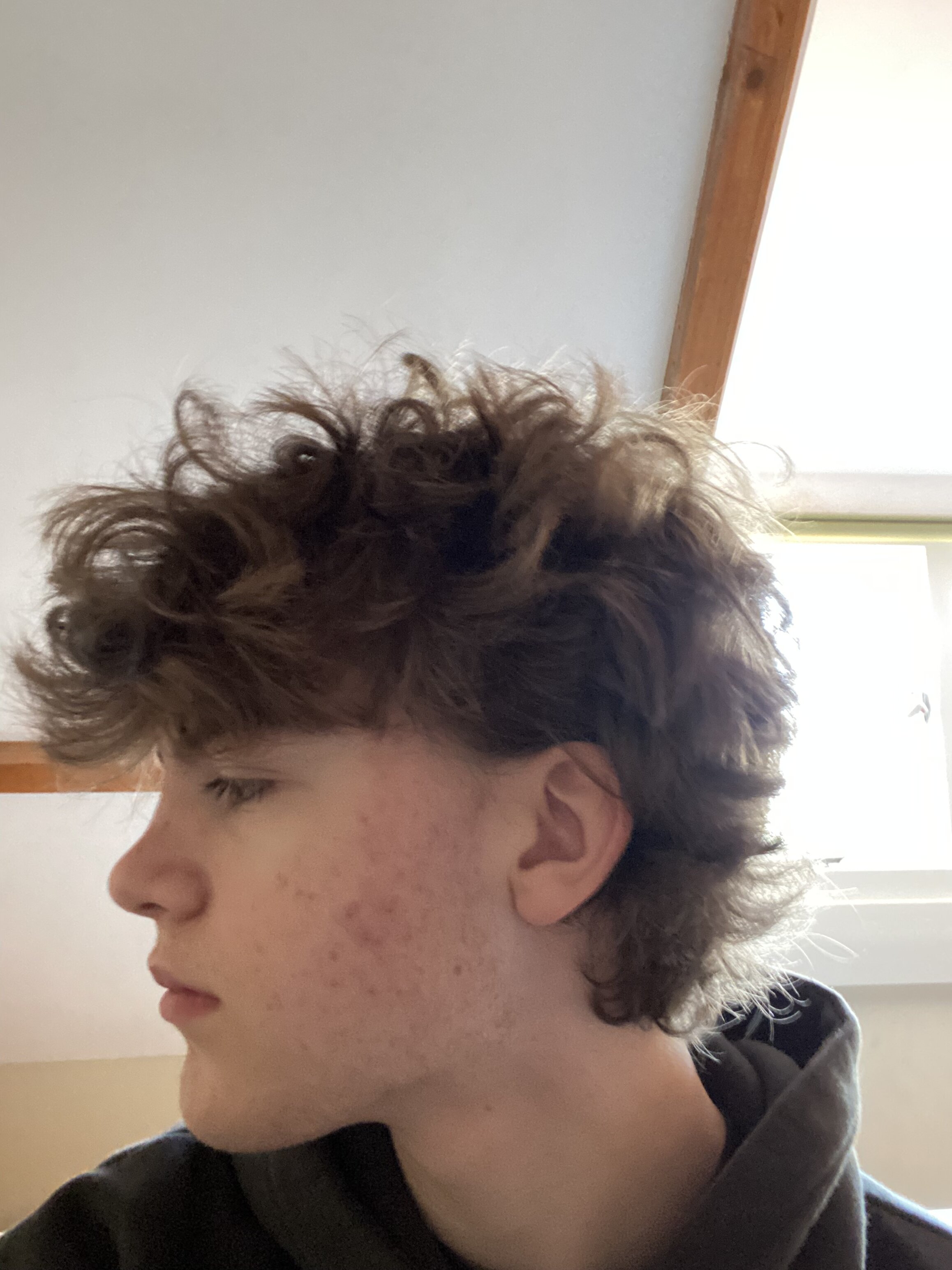 IMG 2336