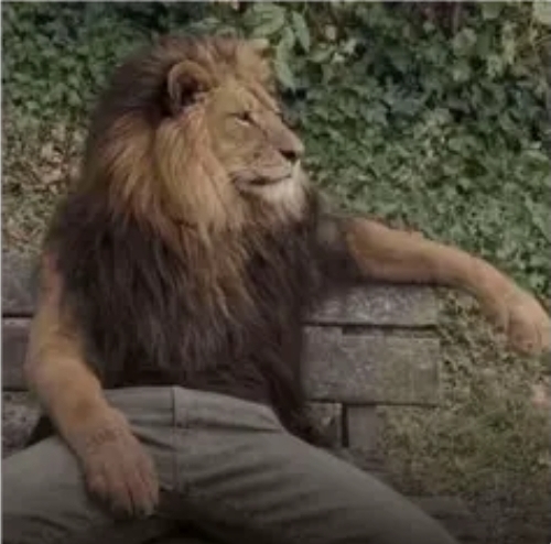 Screenshot 20260314 155000 TikTok