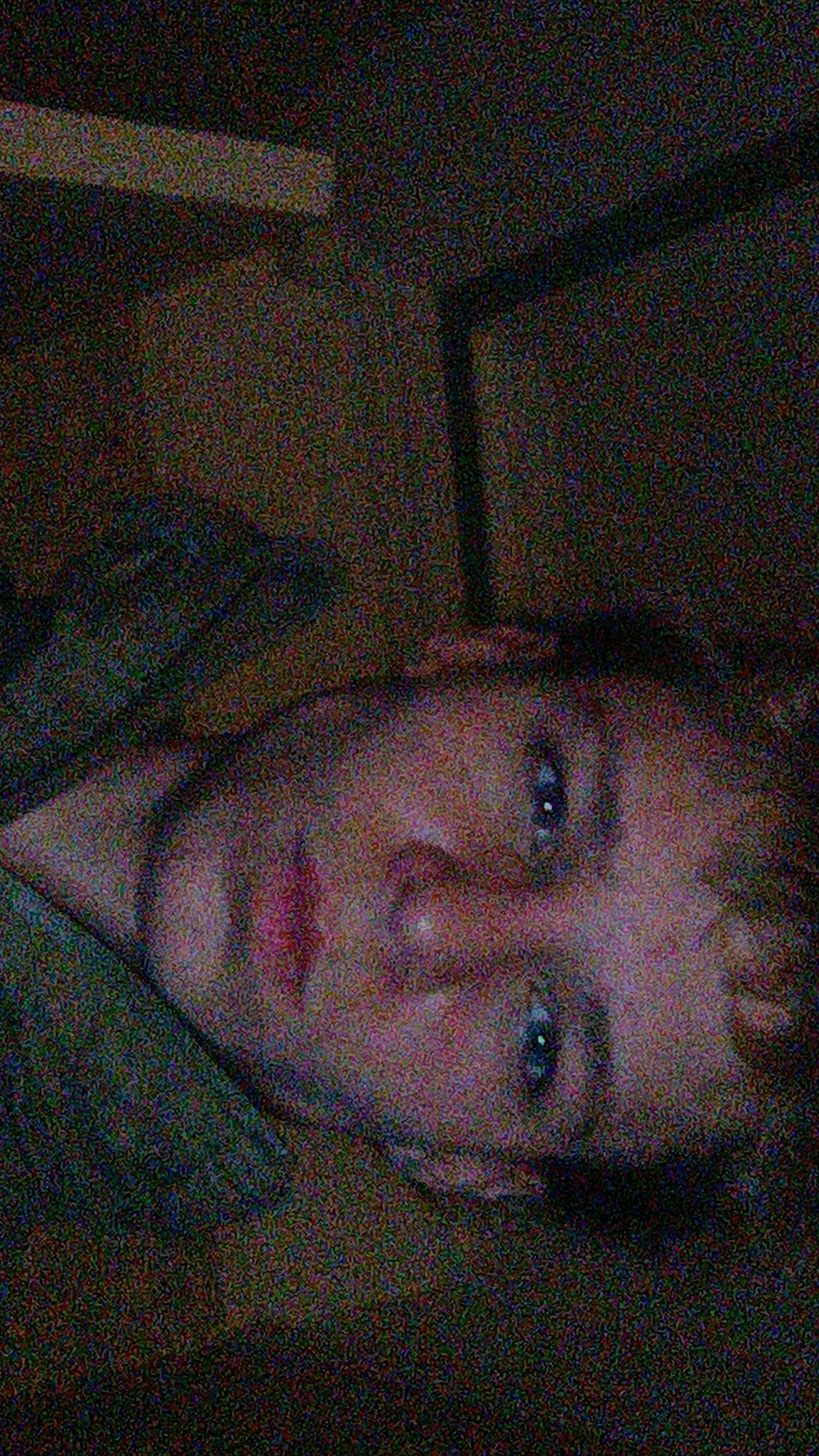 1000016211