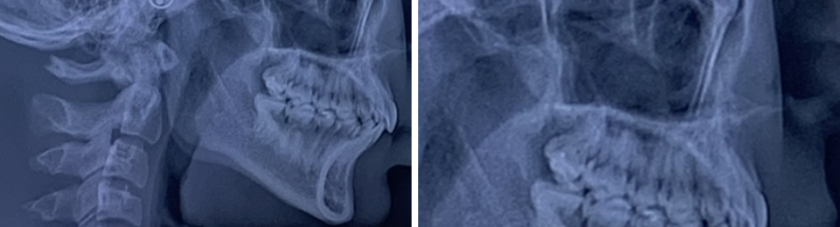 Screenshot 2026 03 19 at 115511PM