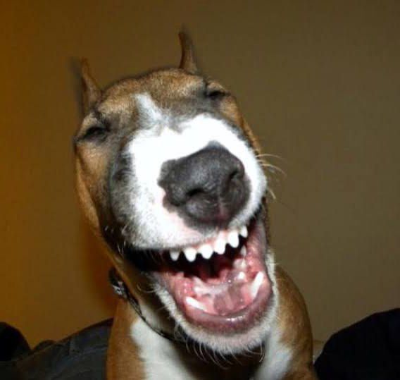 IMG 20260320 192959 227