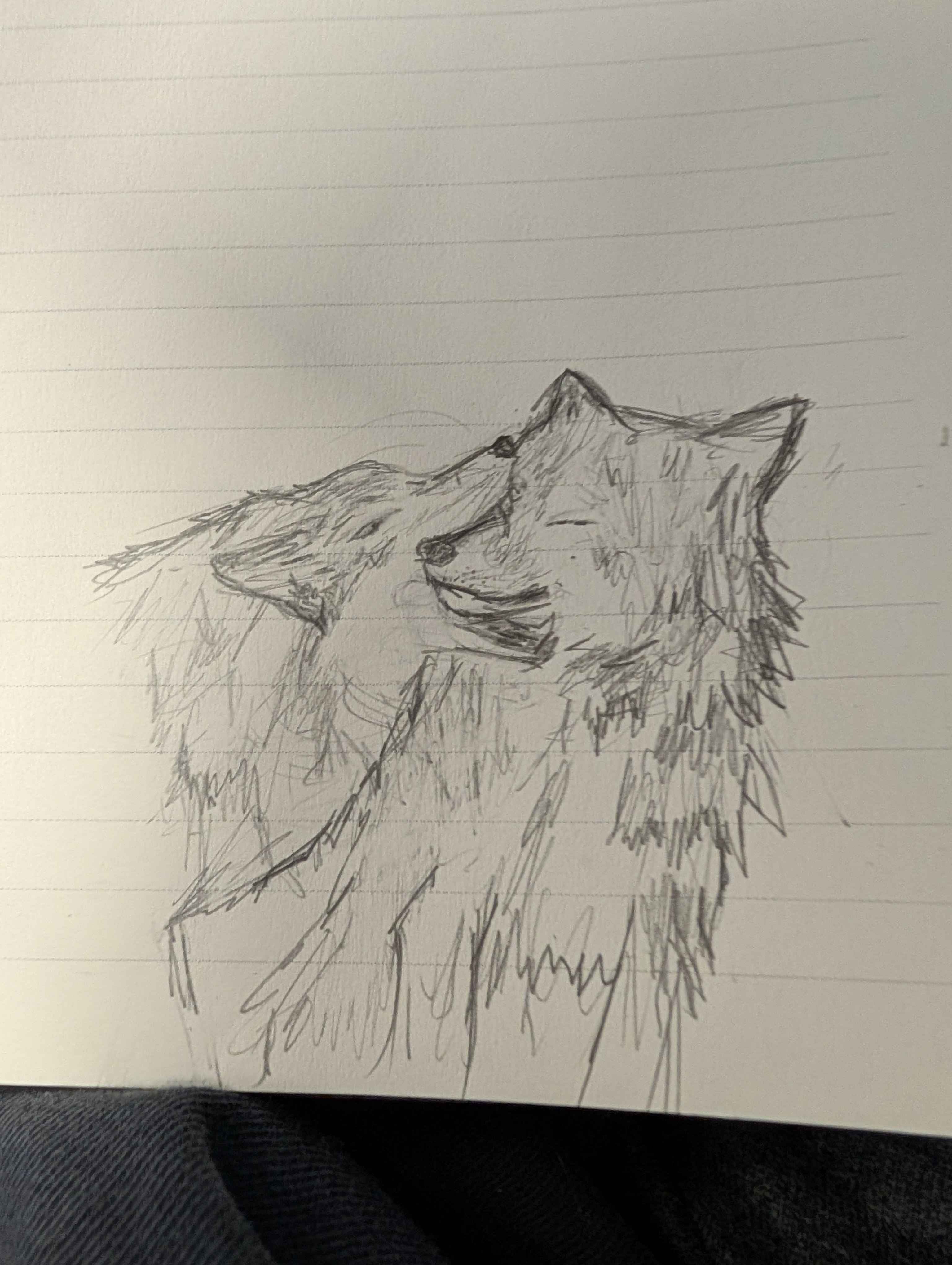 PXL 20260220 220942761