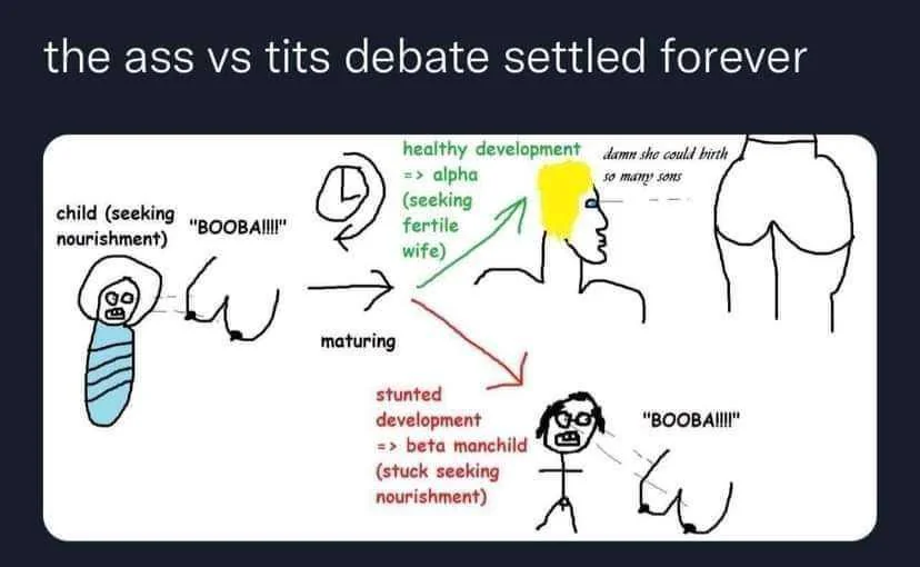 The ass vs tits debate settled forever v0 tmxzj4ux5rig1