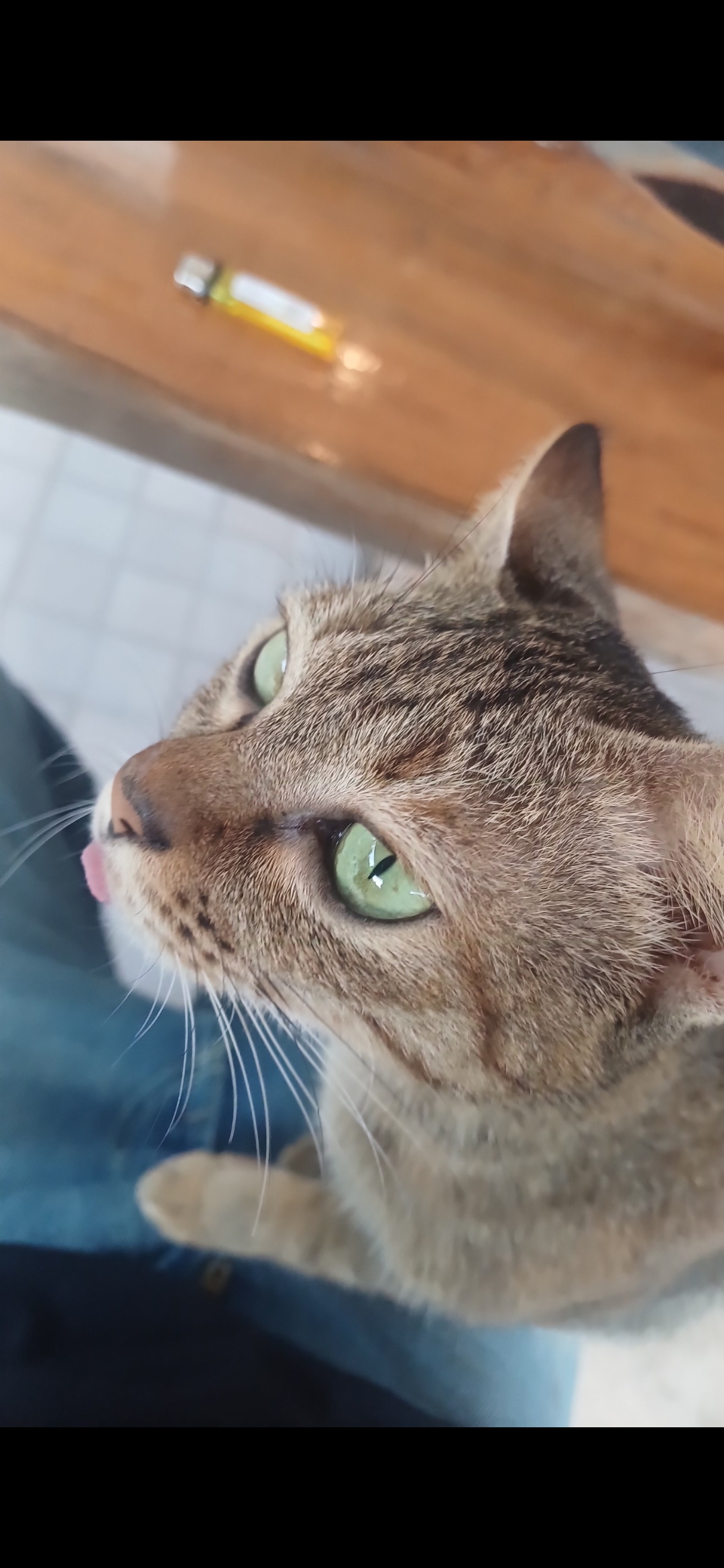 Screenshot 20260320 234107 Photos