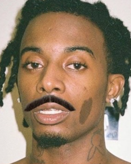 6018120 playboi carti