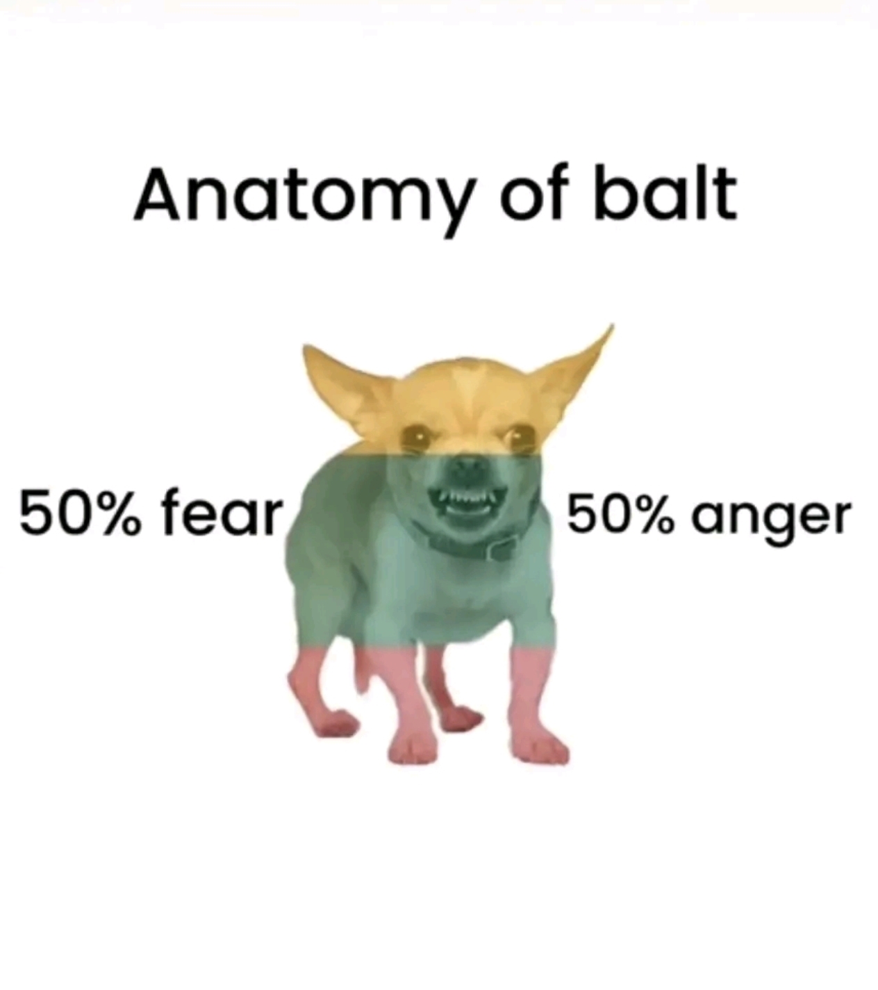 Screenshot 20260312 211900 com zhiliaoapp musically PhotoDetailActivityV2