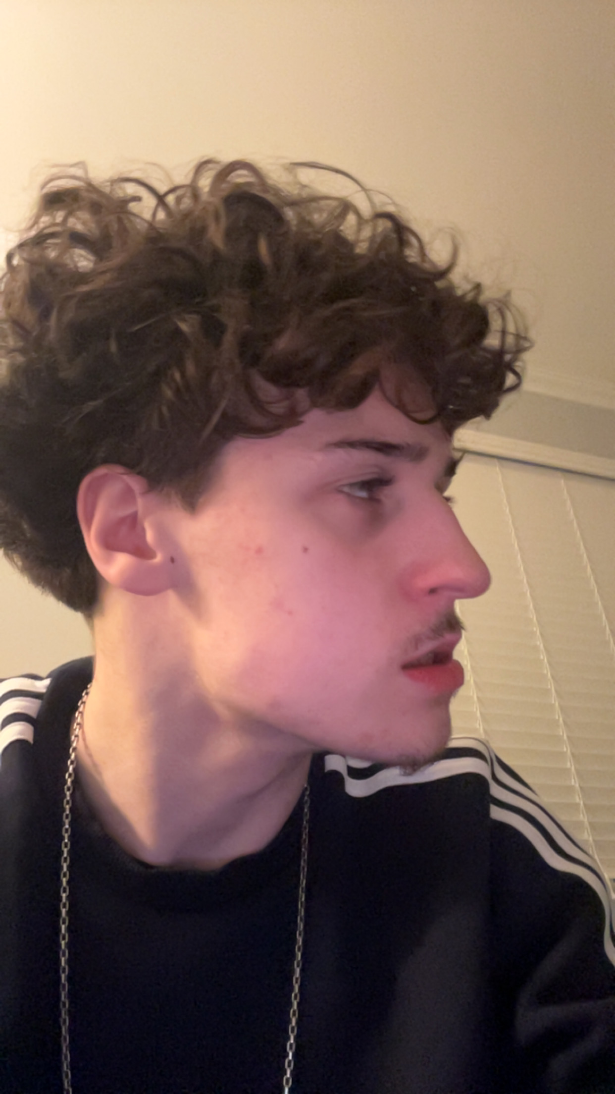 IMG 1432