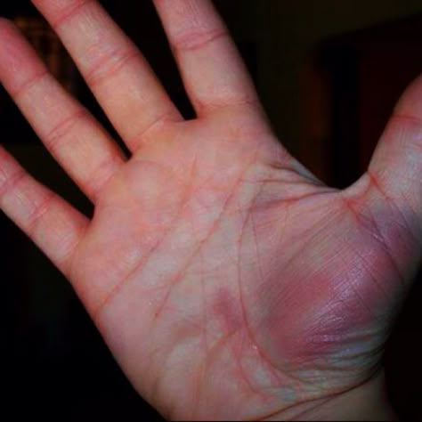 3b2eaee5b25cf5399f8f716b6a20247c