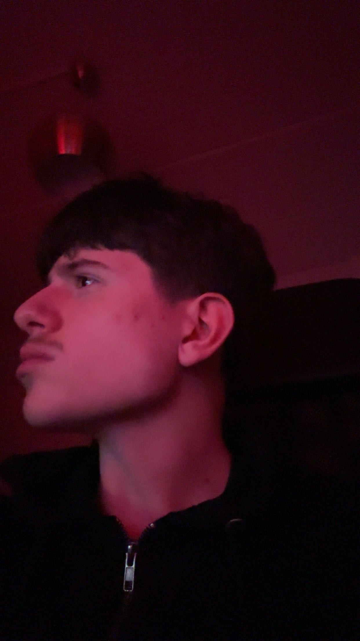 IMG 0239