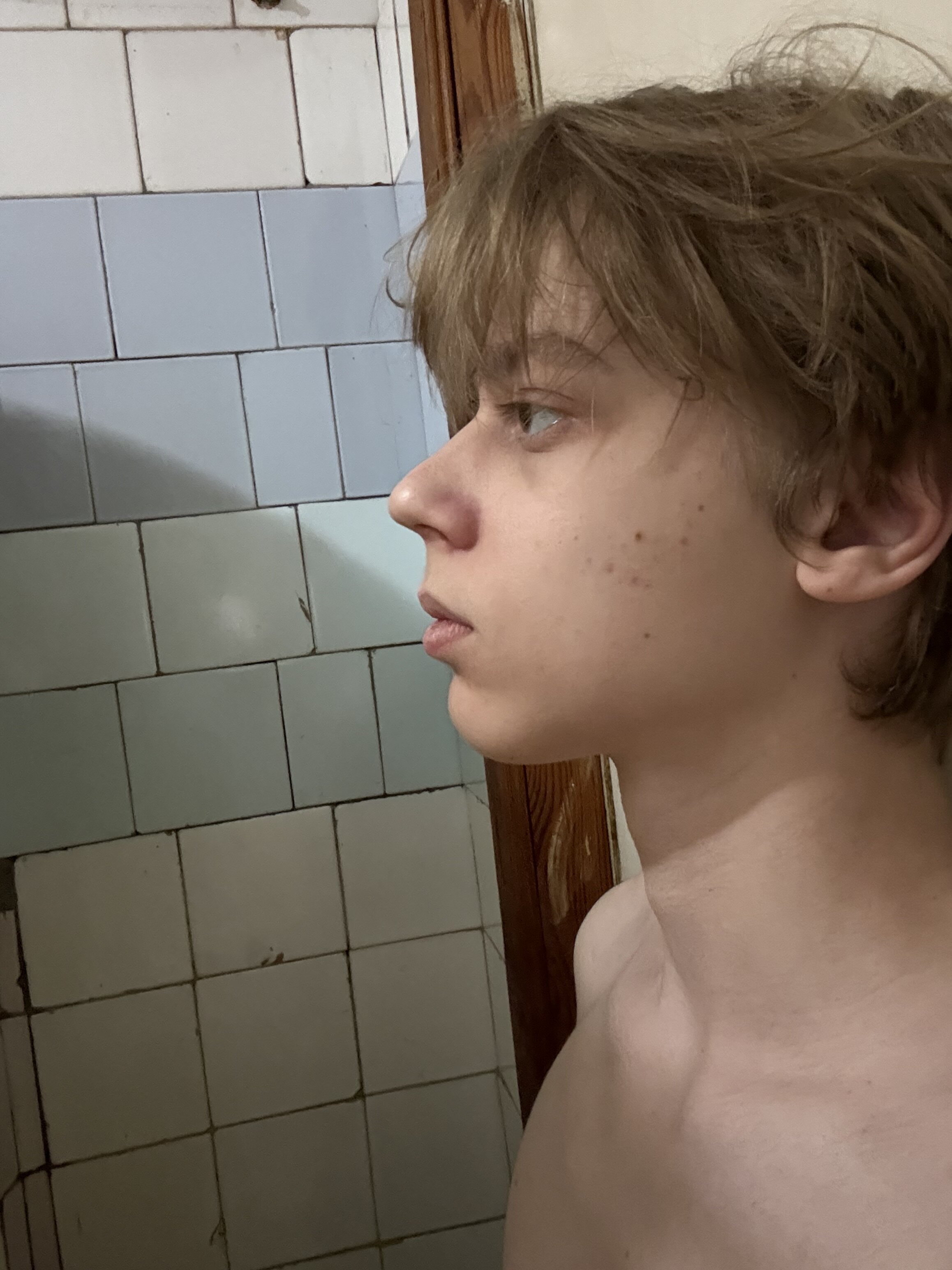 IMG 2515