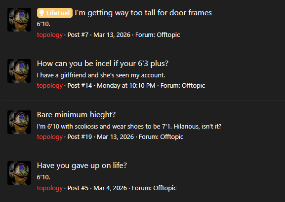 6019947 1774112763691