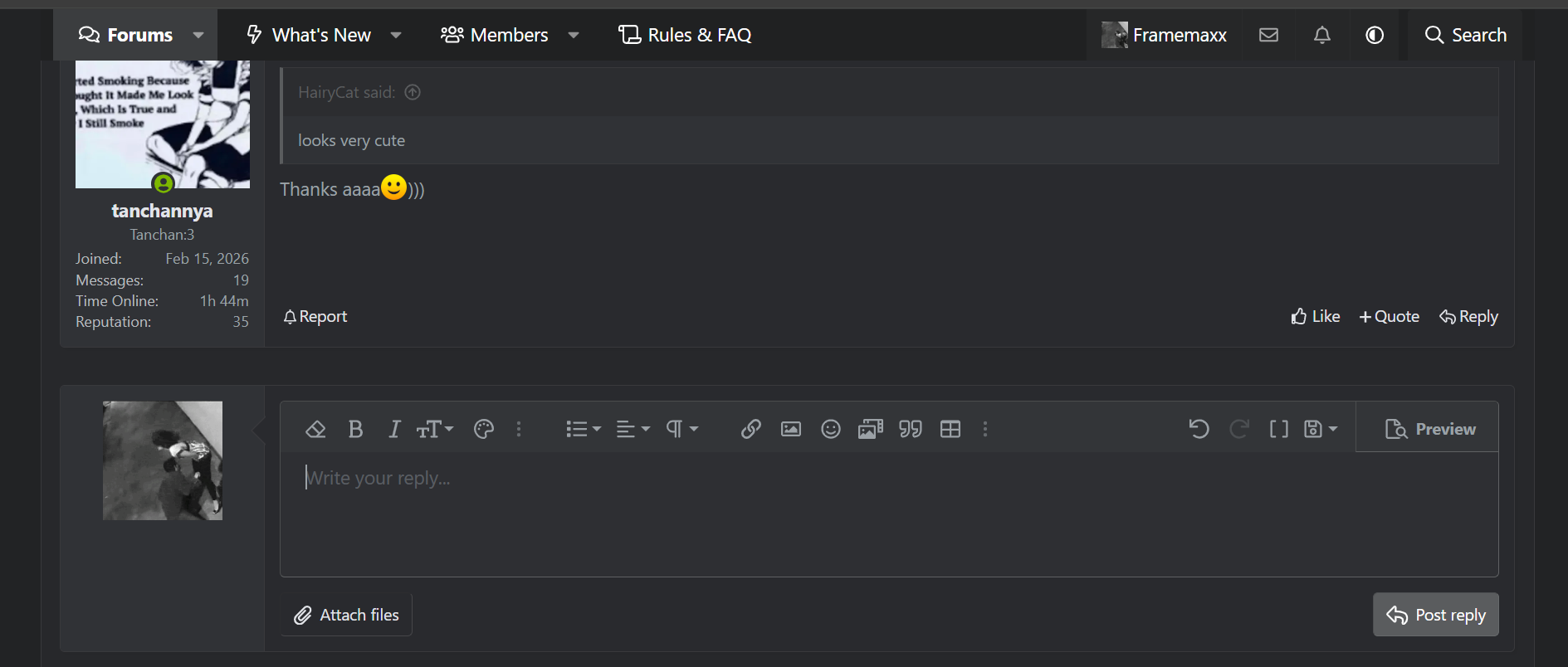 Screenshot 2026 03 23 015838