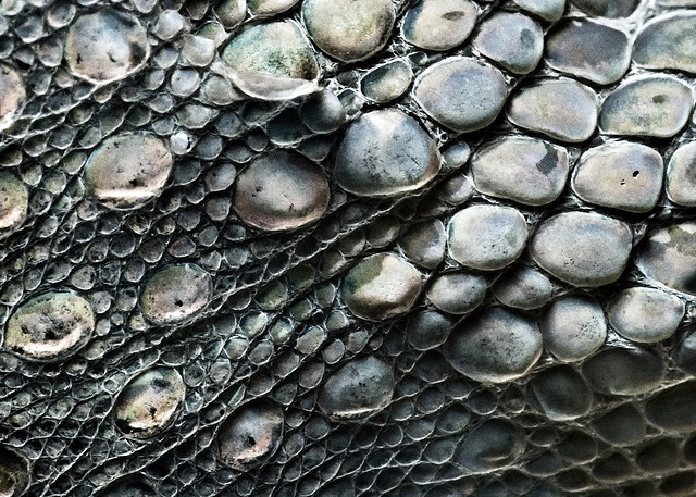 Having an odd reaction myself