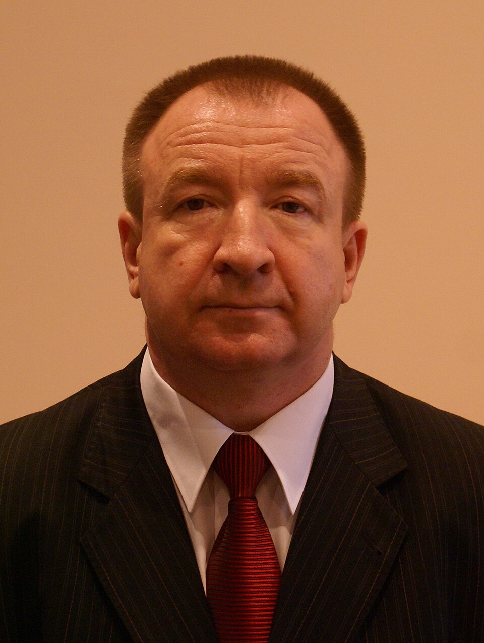 Panarin photo 3x4 cropped