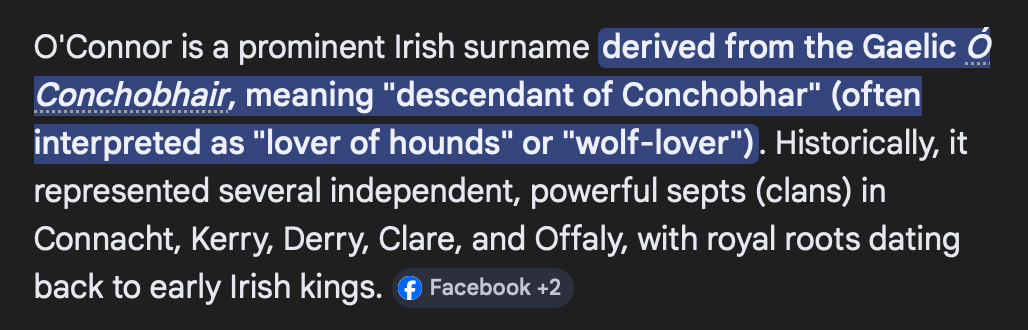 6031795 5986486 irish name