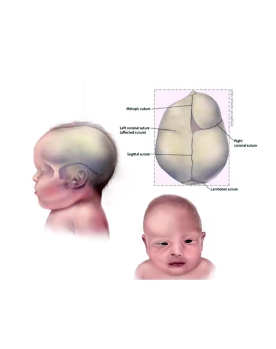 Screenshot 20260324 094536