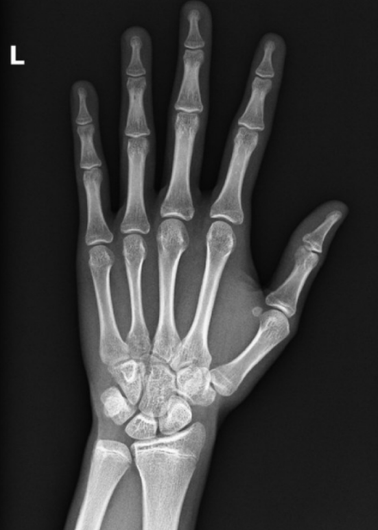 Screenshot 2026 03 24 150036