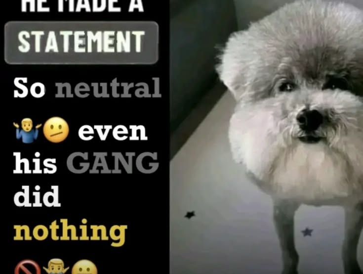 D3063e8f70e0060a04d625730ce15c58