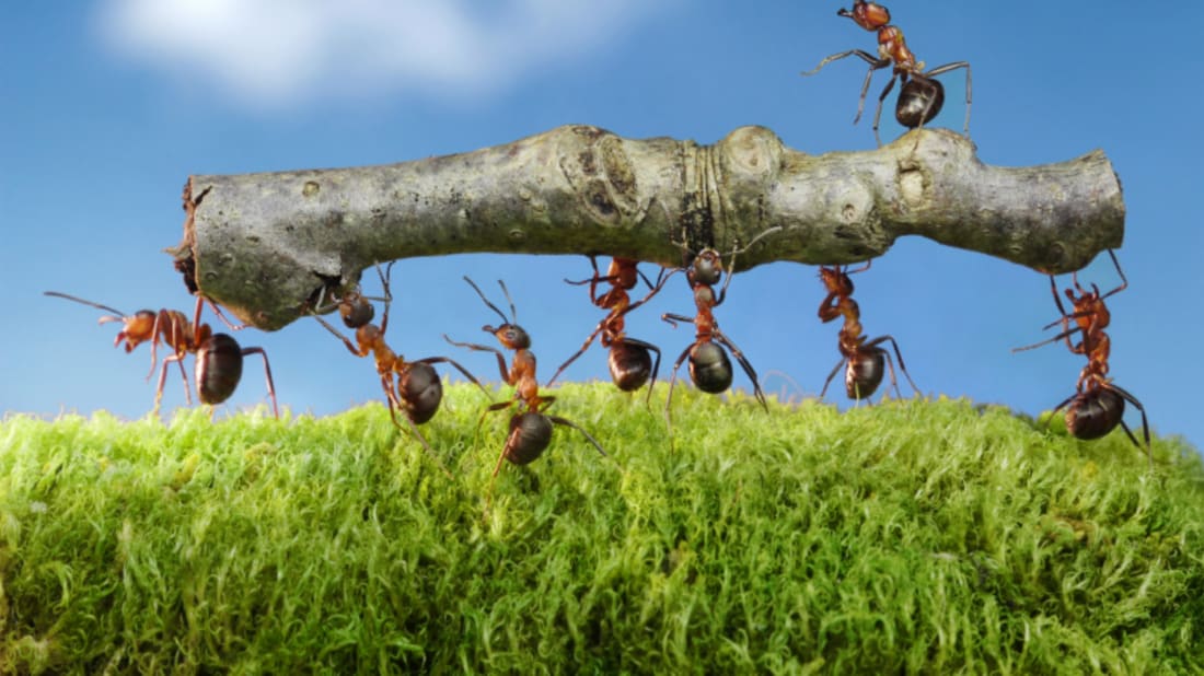 Istock 000010721352 small a095717d2fff4503cf2e3a1e5074edf0