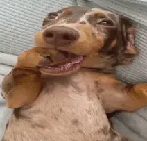 Screenshot 2026 01 26 194200