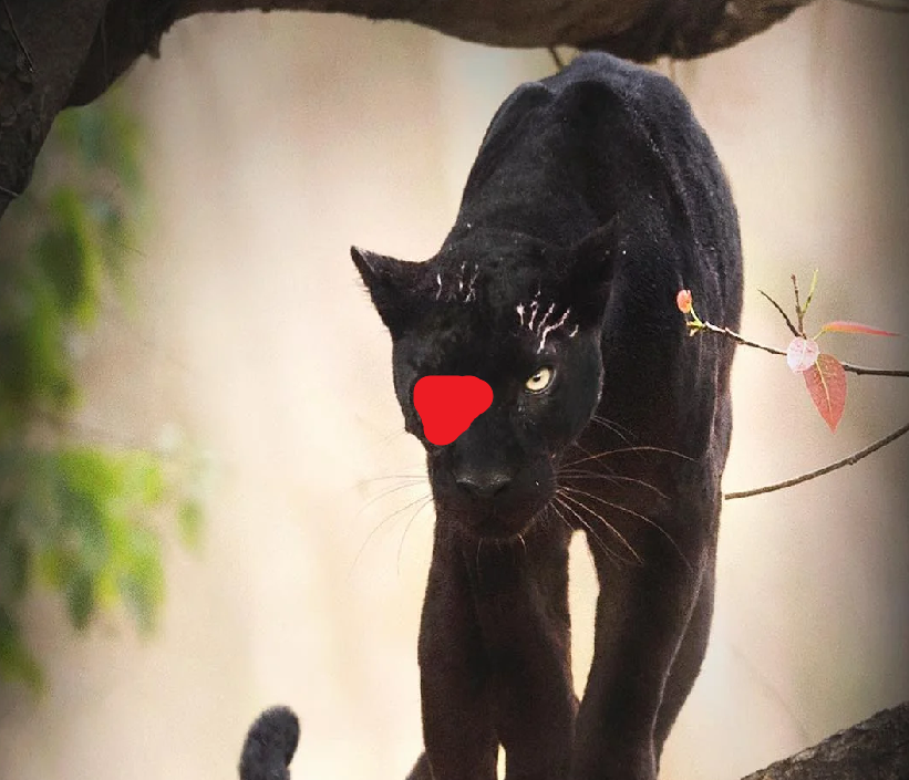 Screenshot 2026 03 26 191929