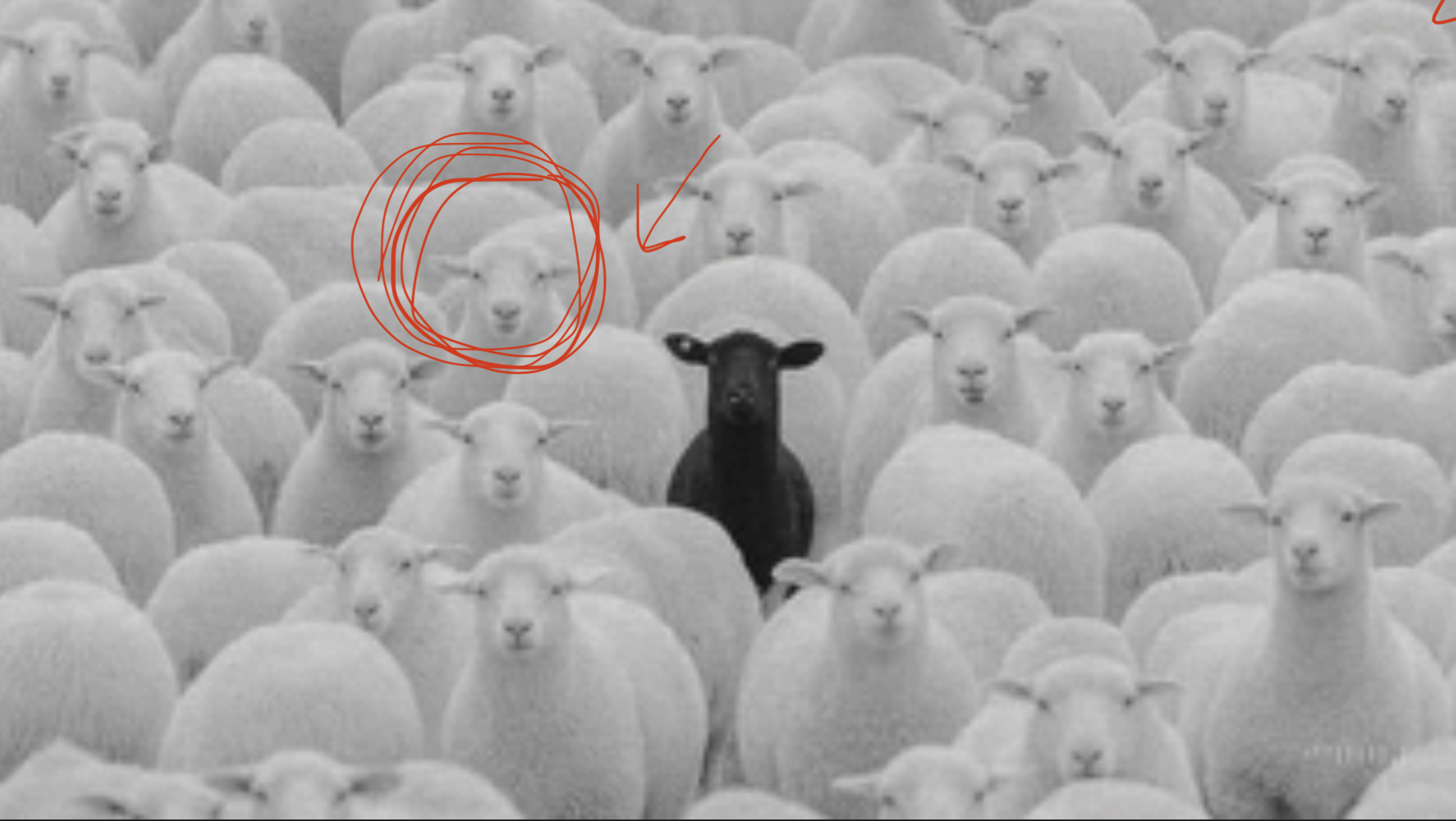 Screenshot 2026 03 26 at 112452PM