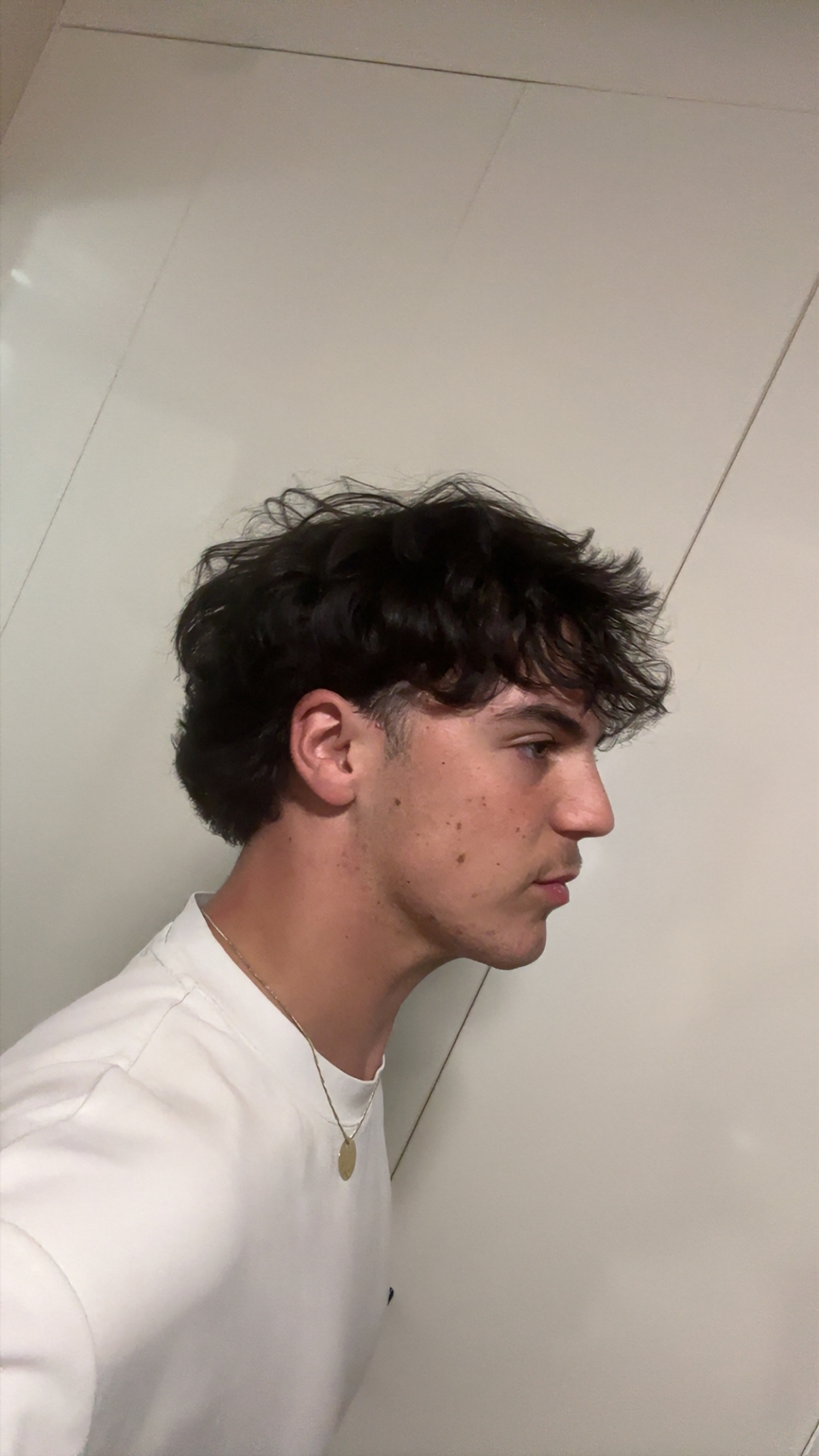 IMG 0458