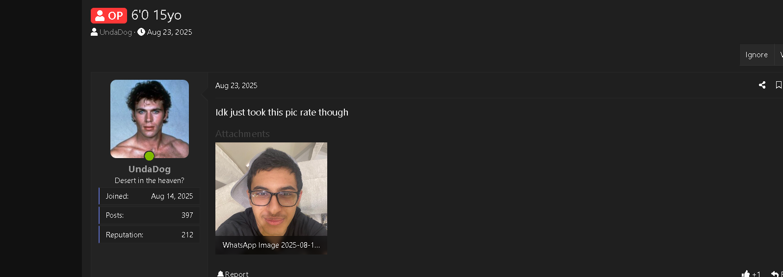 1774621164203