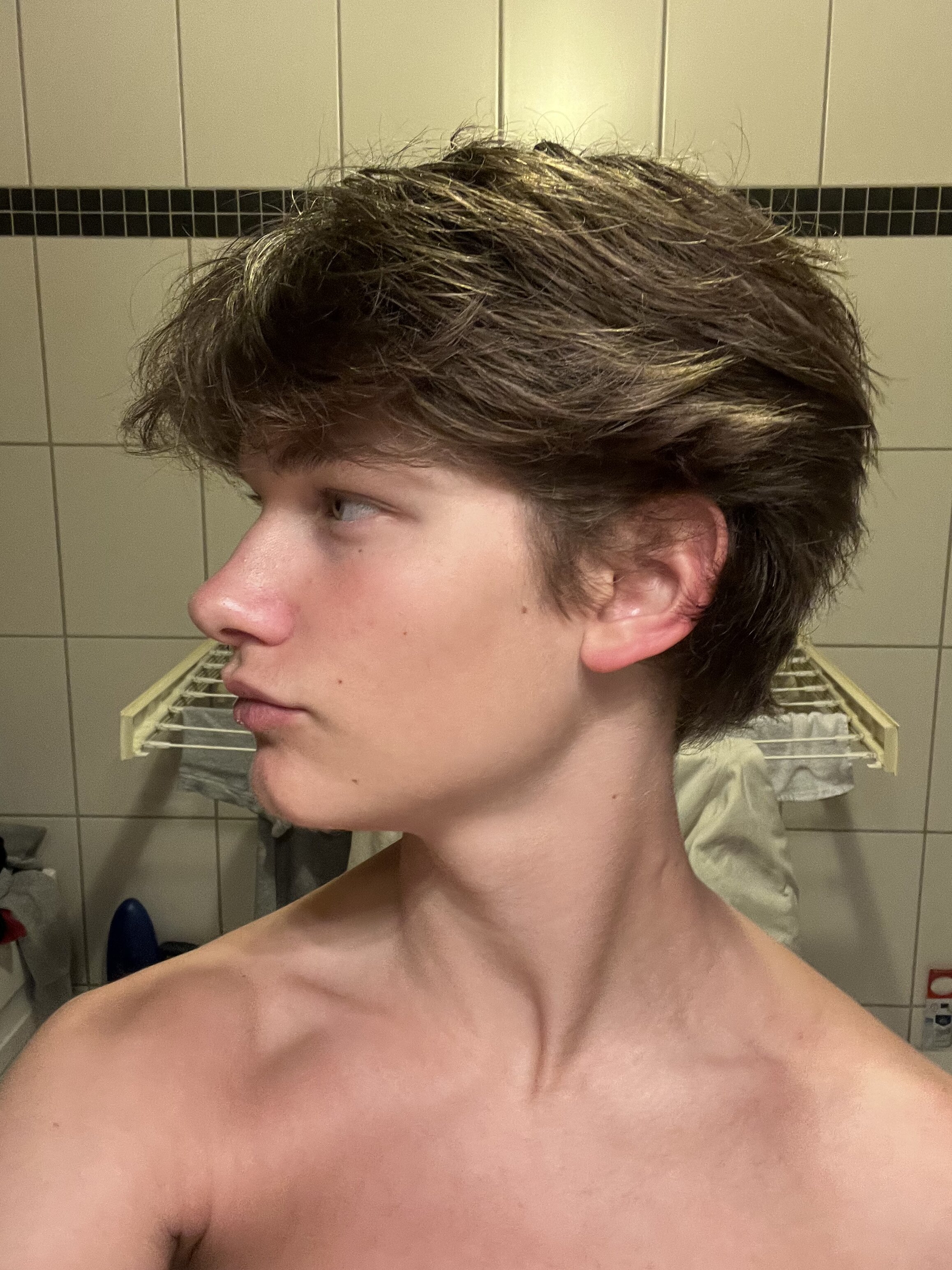 IMG 0615